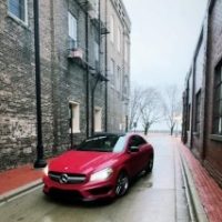 Profile picture of Zuma